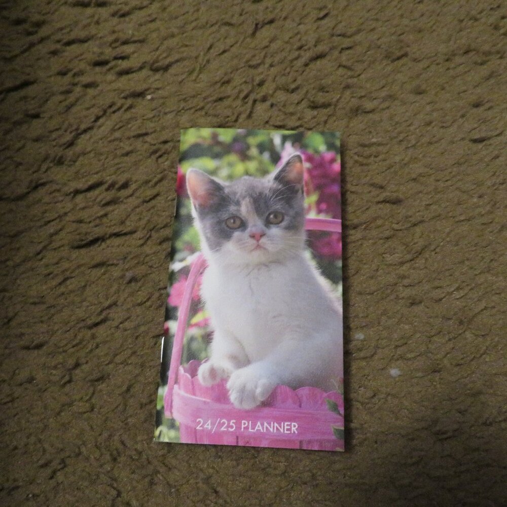 Willow Creek Cute as a KItten 2024-25 2 Year Calendar Planner 3 x 6 NEW